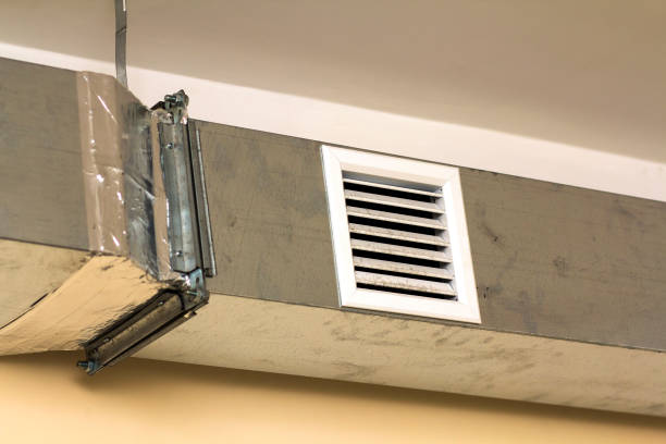 Best Dryer Vent Cleaning Services  in Loxley, AL