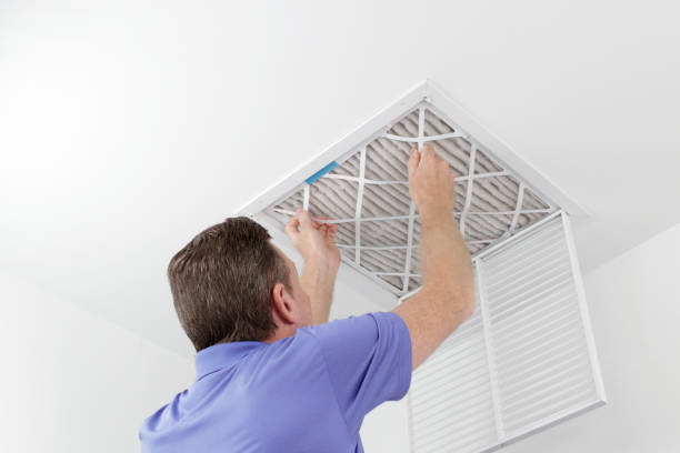 Best Emergency Air Duct Cleaning  in Loxley, AL